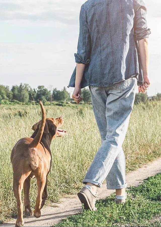 woman walking with dog
