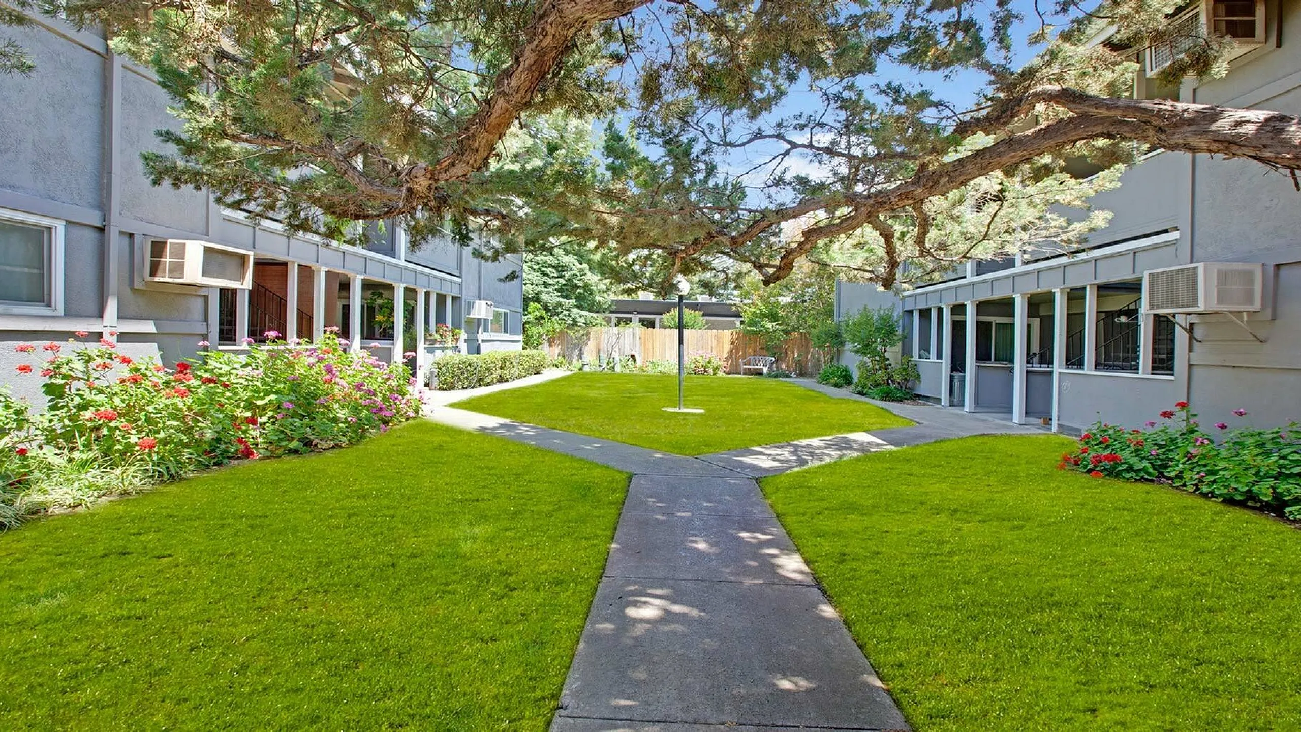 coutyard  with green grass, and long branches of tree over the green opening.