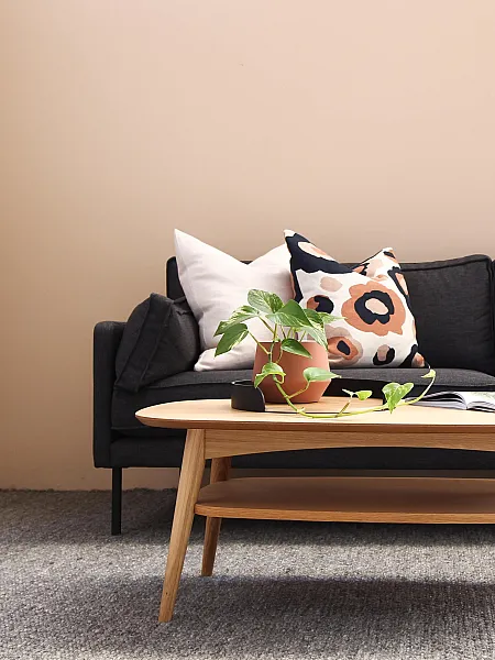 Gret couch with two throw pillows, a small coffee table and with a plant on top