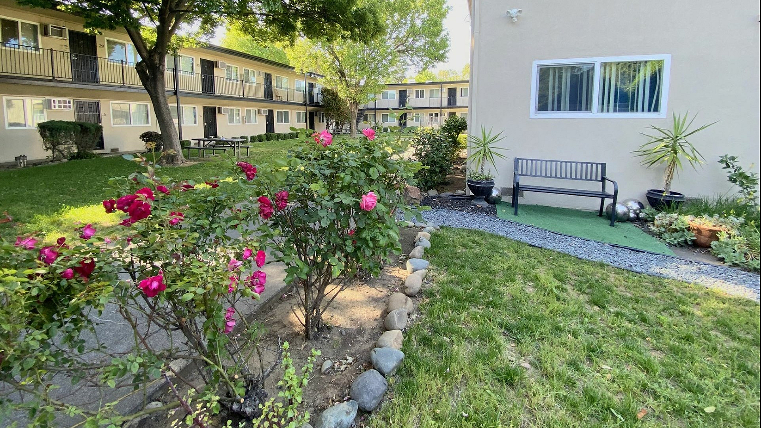 Oak Plaza exterior with tall trees and small rose bush