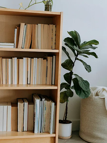A wooden bookshelf with assorted books next to a lush potted plant and woven basket. The scene exudes a calm, cozy, and minimalist atmosphere.