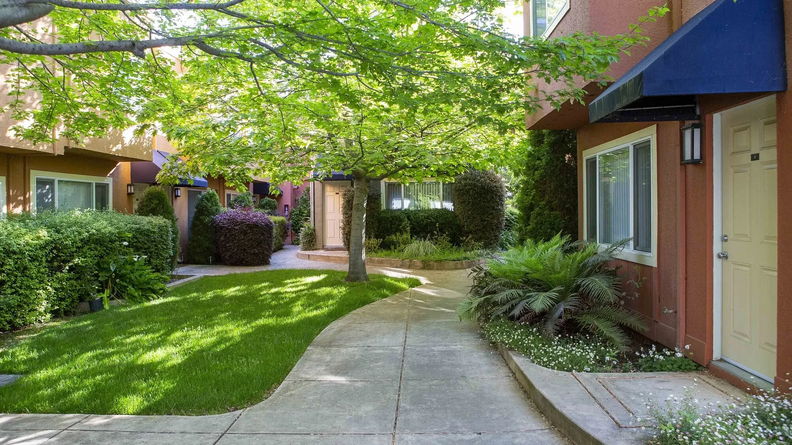 A serene courtyard with a curving pathway is shaded by lush green trees. Terra cotta colored buildings with blue awnings and trimmed shrubs create a tranquil atmosphere.