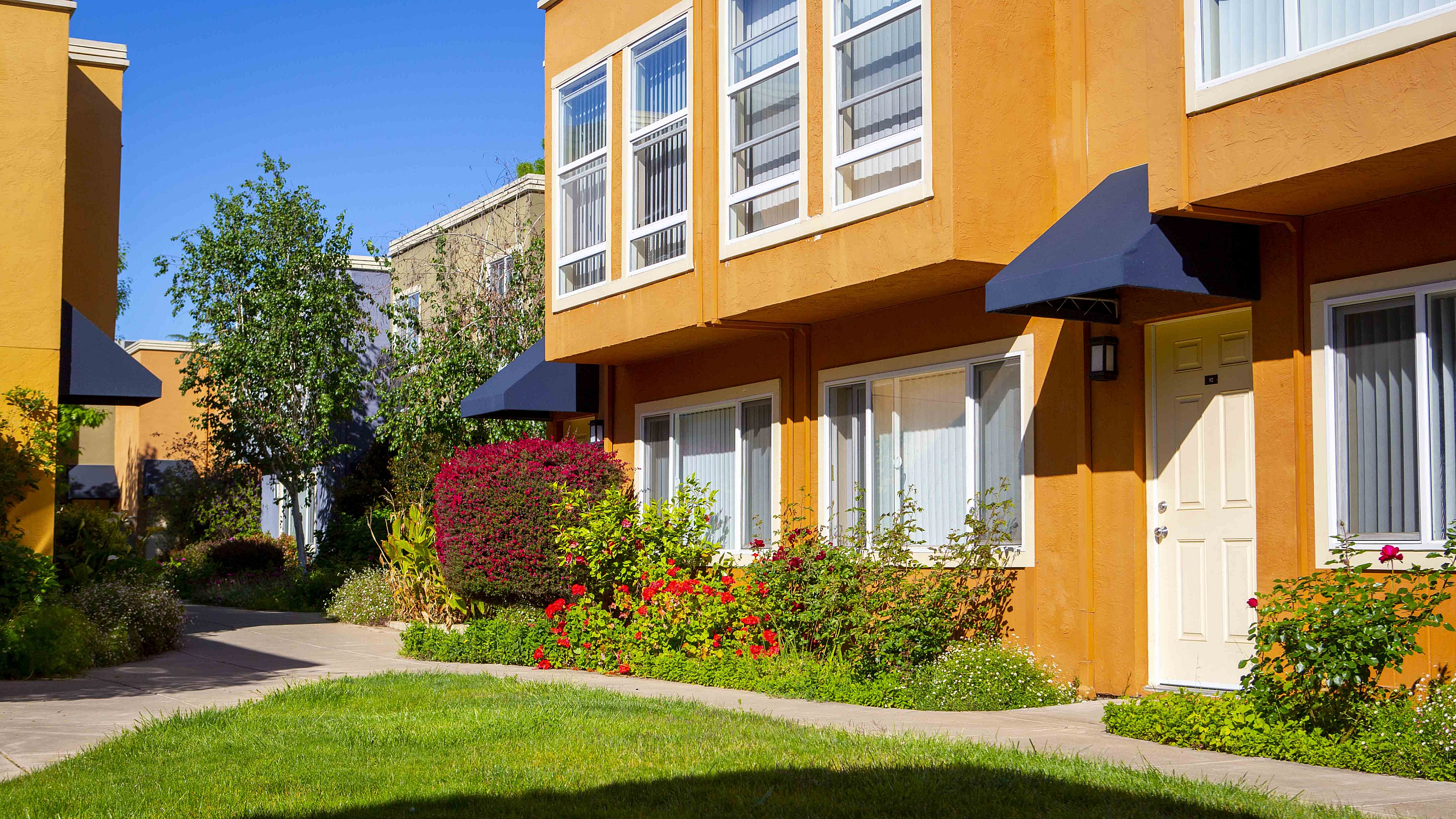 Sunny courtyard with bright orange buildings featuring large windows. Pathway lined with lush greenery and red flowers, evoking a cheerful, welcoming atmosphere.