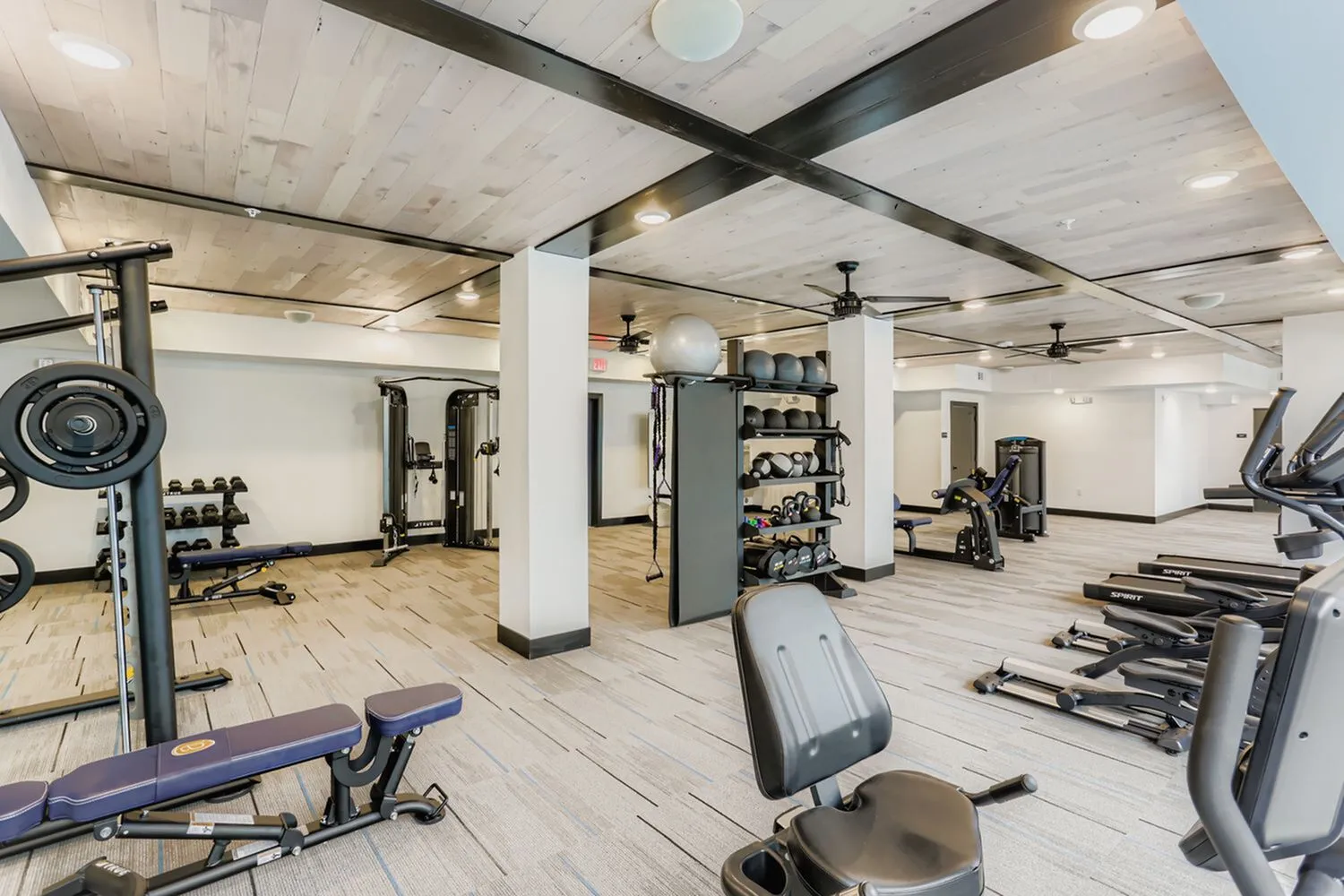 Weight-lifting area with dumbbells, weight rack, and TRUE cable machine at Ara Townhomes & Flats in Castle Rock, Colorado