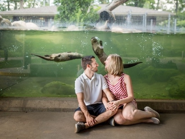 Potter+Park+Zoo