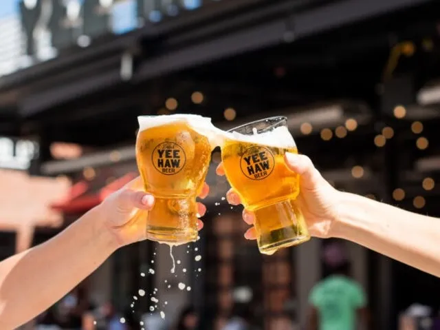 Yee Haw Brewing Co.