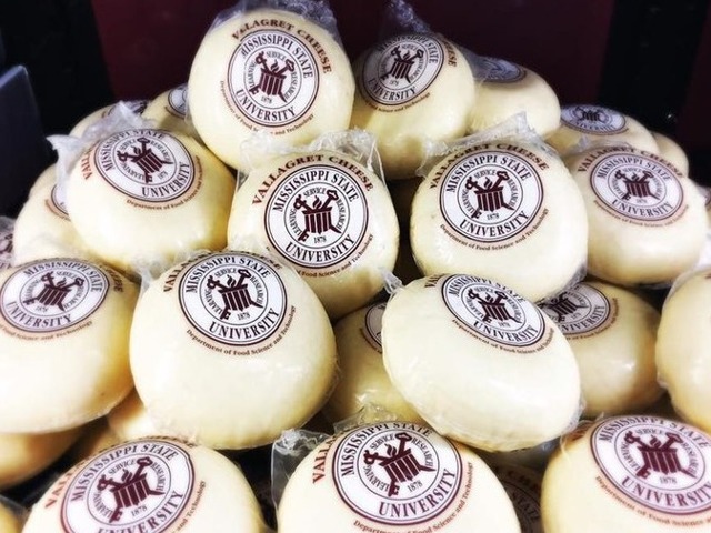MSU Cheese