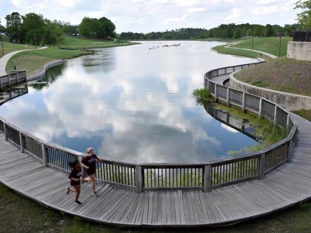 MSU Walking Trail