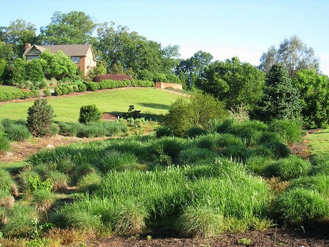 South Carolina Botanical Gardens