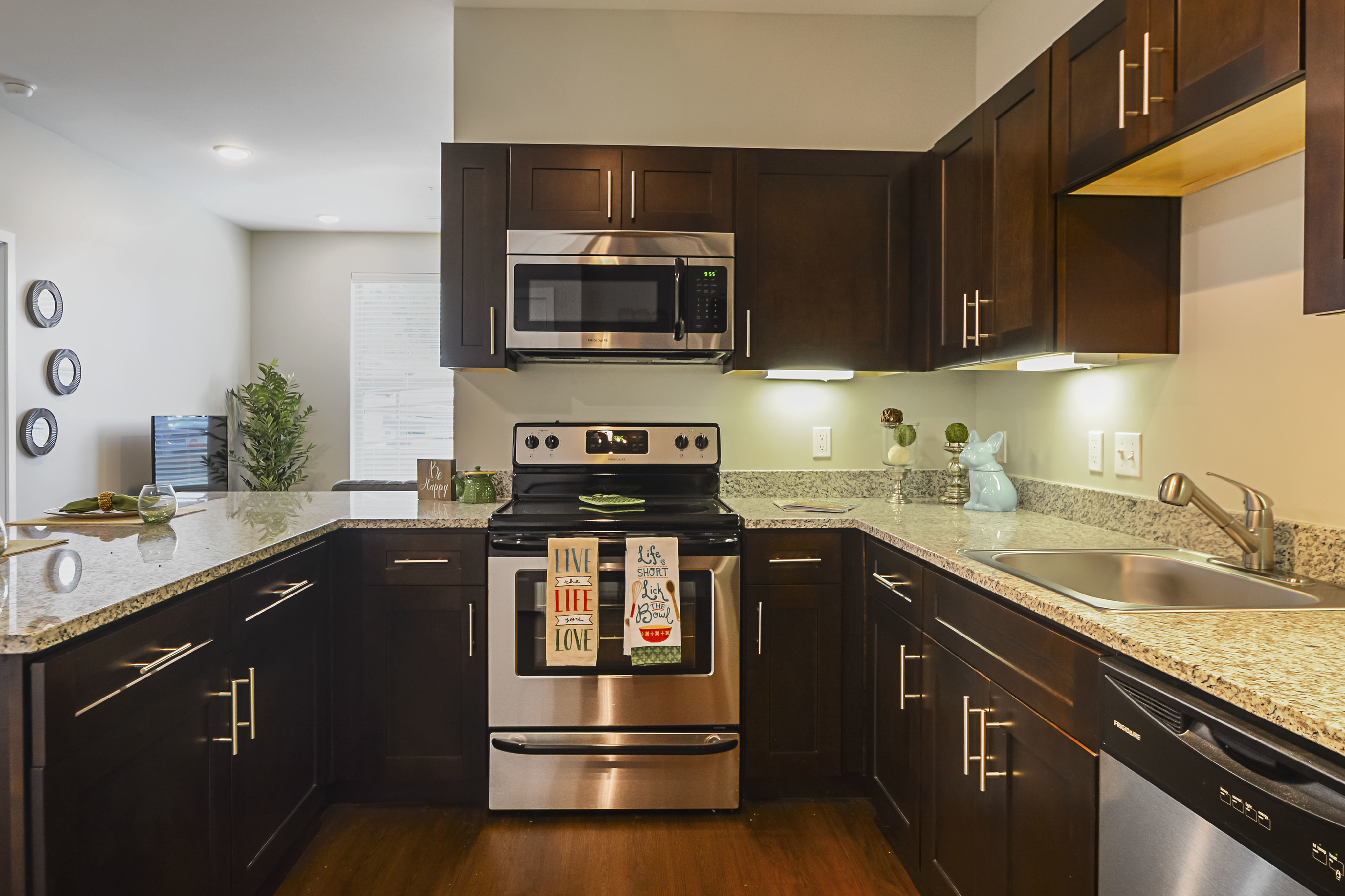 Image of Stainless Steel Appliances for Lookout on Cragmor
