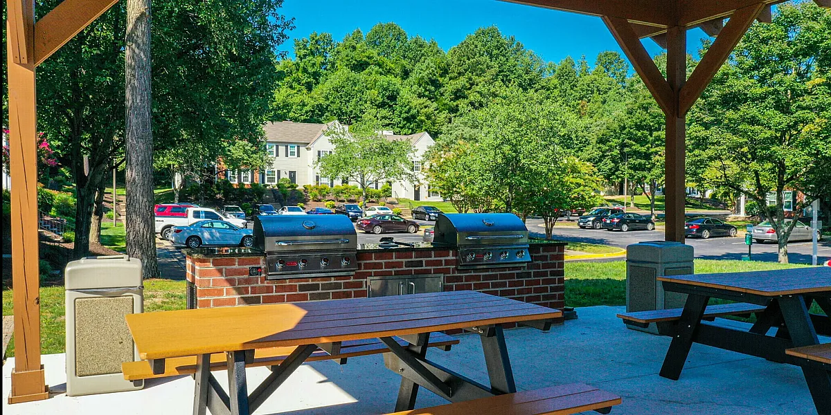 Inviting outdoor area with picnic tables, grills, and scenic greenery.