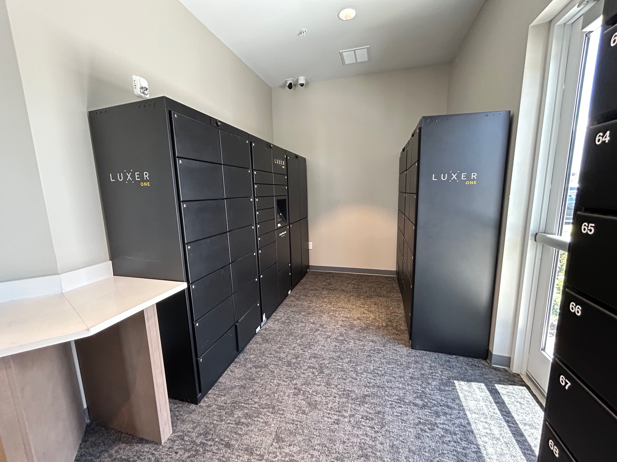 Luxer Package Management