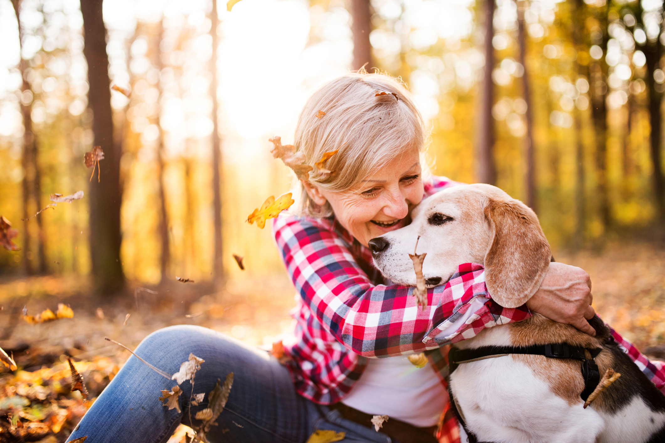 Exploring Fall Activities for Active Seniors in Worcester, MA-image