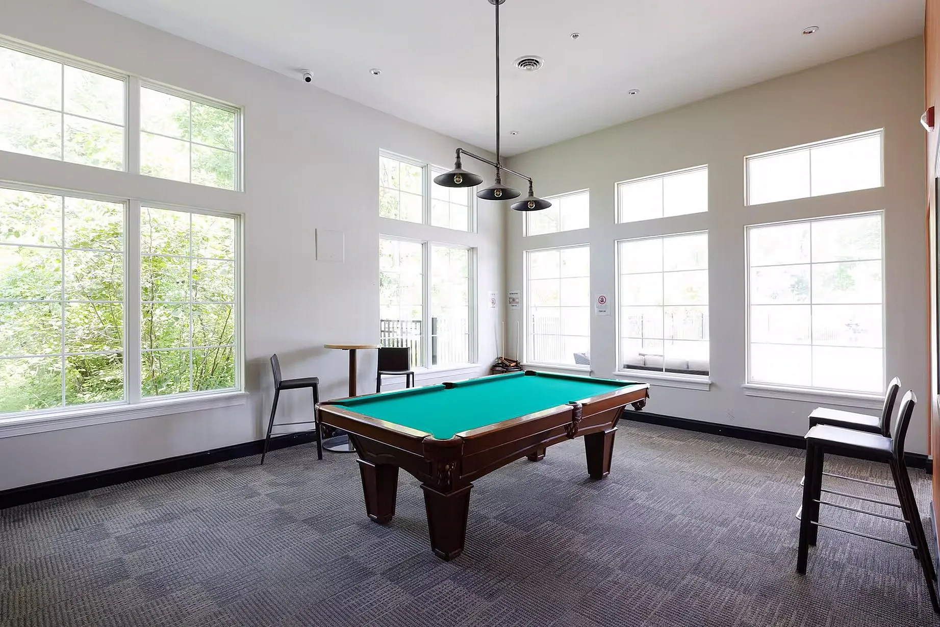 Bright and inviting rec room with a pool table and large windows offering natural light and lush garden views.