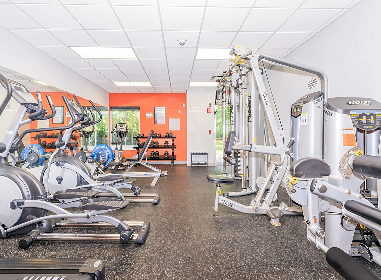 Bright and modern gym featuring state-of-the-art exercise equipment, vibrant orange accent wall, and large windows for natural light.