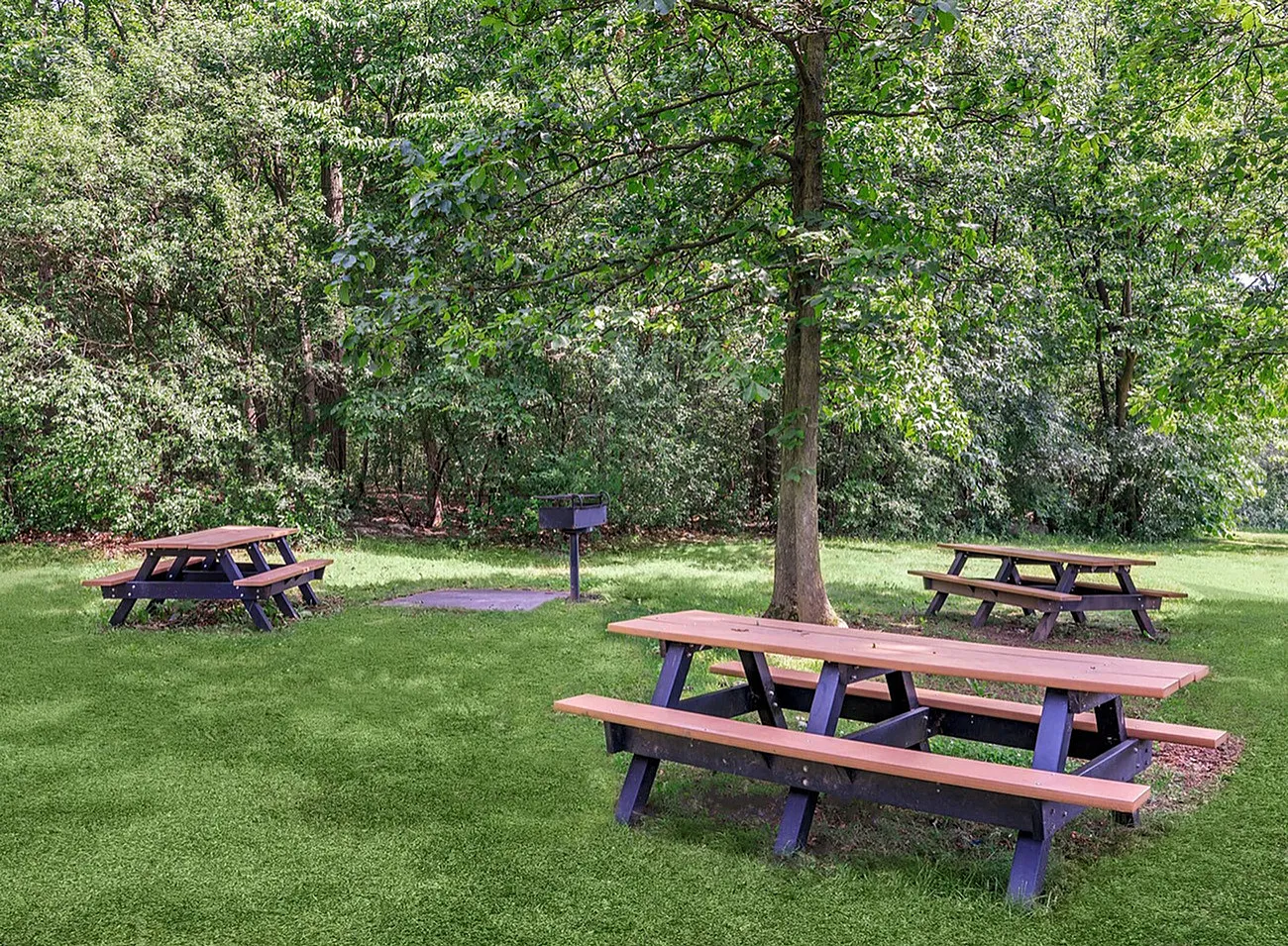 Inviting picnic area surrounded by lush greenery, featuring multiple wooden tables and a convenient grill under the shade of tall trees.