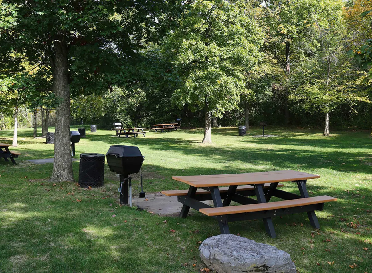 Inviting outdoor area featuring lush green grass, picnic tables, and barbecue grills surrounded by mature trees, perfect for a relaxing day out.