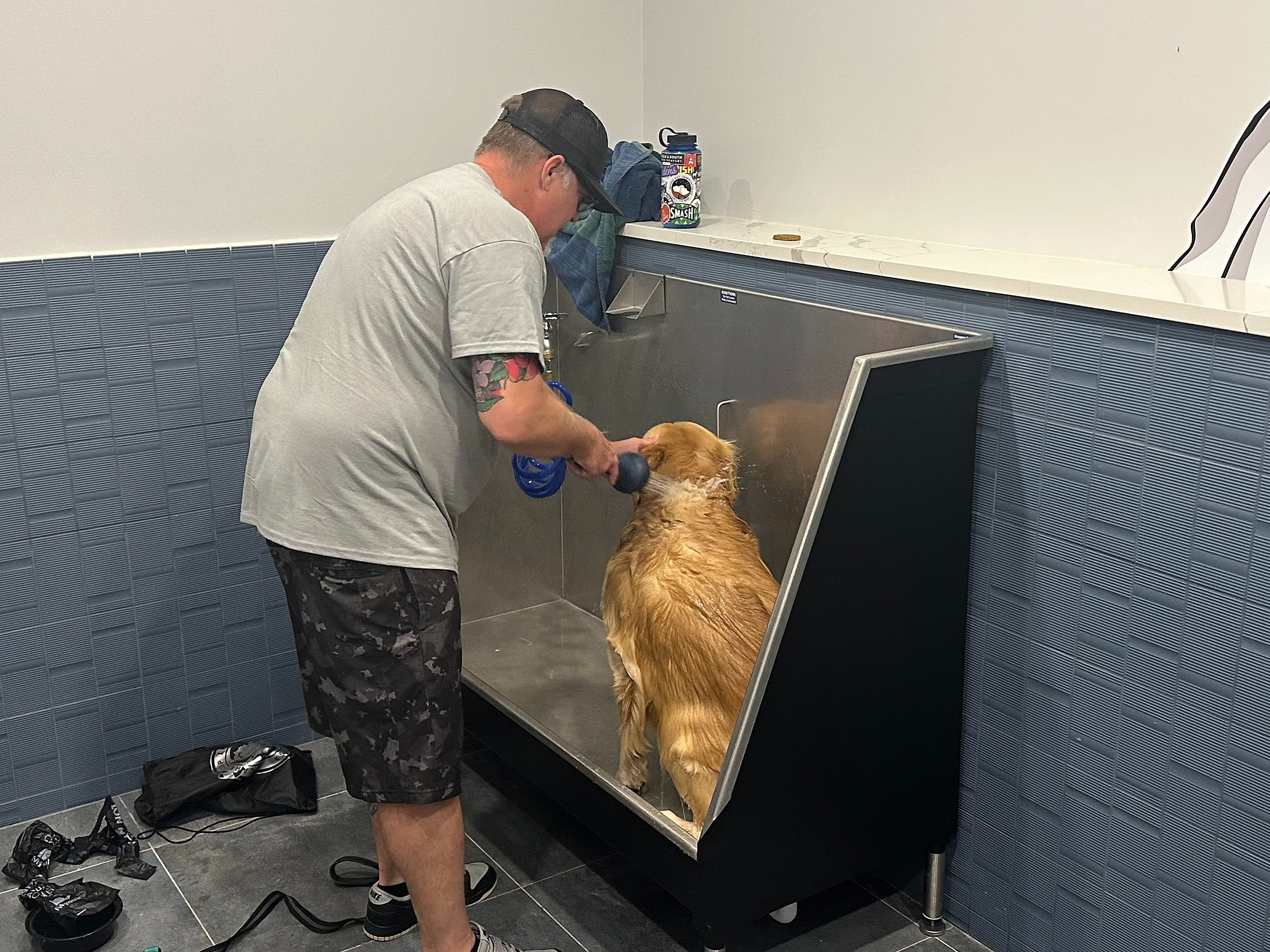 Modern pet grooming station with a cheerful golden retriever being bathed in a sleek, hygienic wash area. Vibrant wall art adds a playful touch to the functional space.