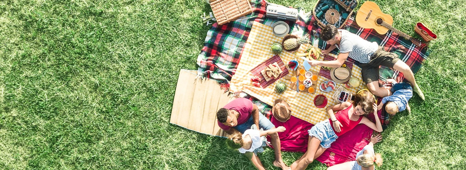 picnic