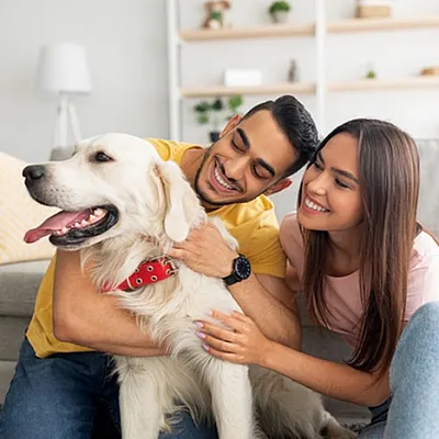 Happy couple enjoying quality time with their golden retriever on a cozy living room sofa, surrounded by modern decor and warm lighting.