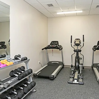 Modern fitness room with treadmills, elliptical, and vibrant dumbbells.