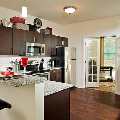Contemporary kitchen with sleek dark cabinets, stainless steel appliances, and elegant granite countertops, perfect for modern living.