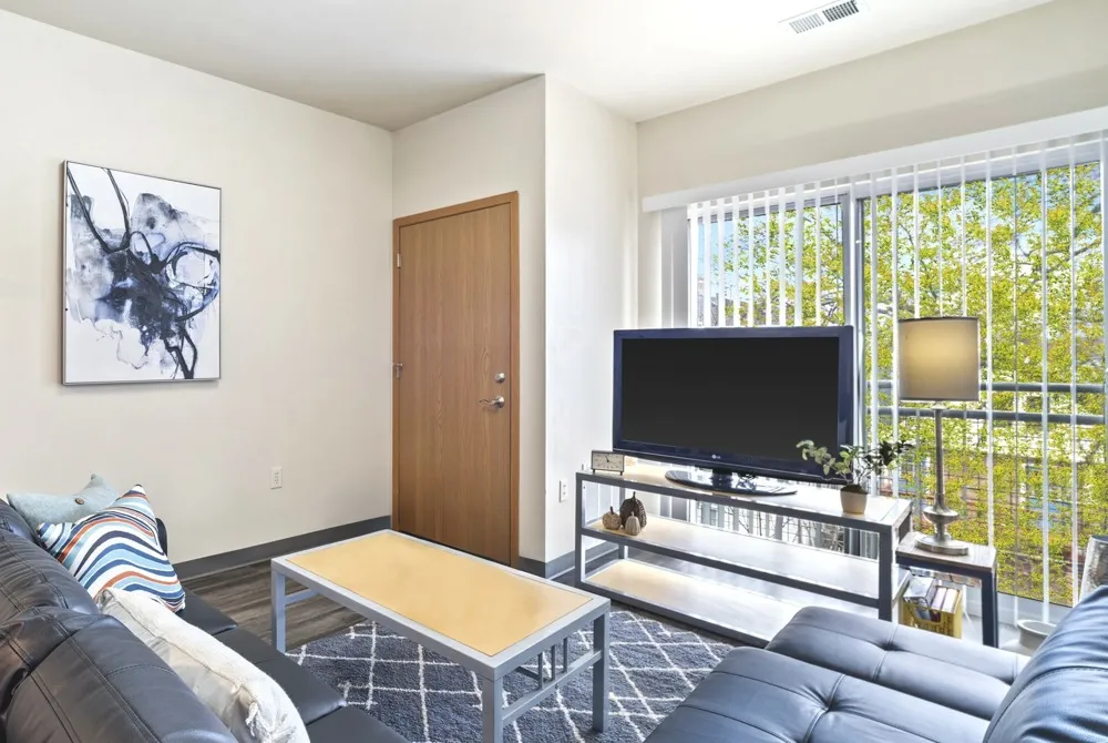 Park At 1824 Apartments Living Room With Natural Sunlight