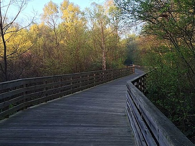 Big Creek Greenway Path