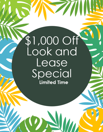 Look and Lease Special