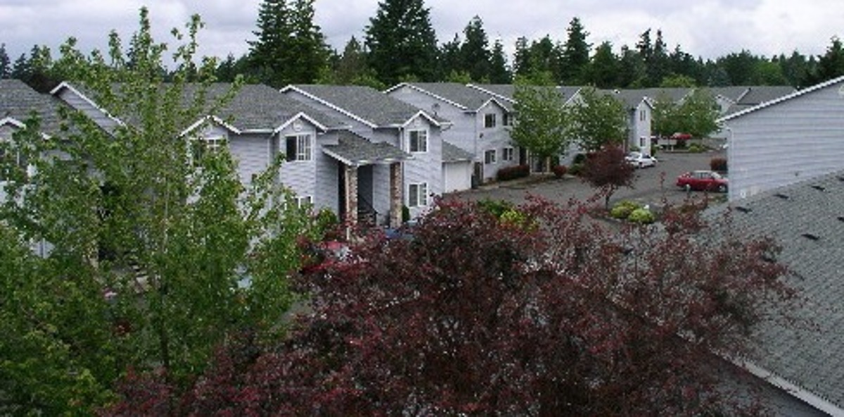 sunshine meadows - portland oregon