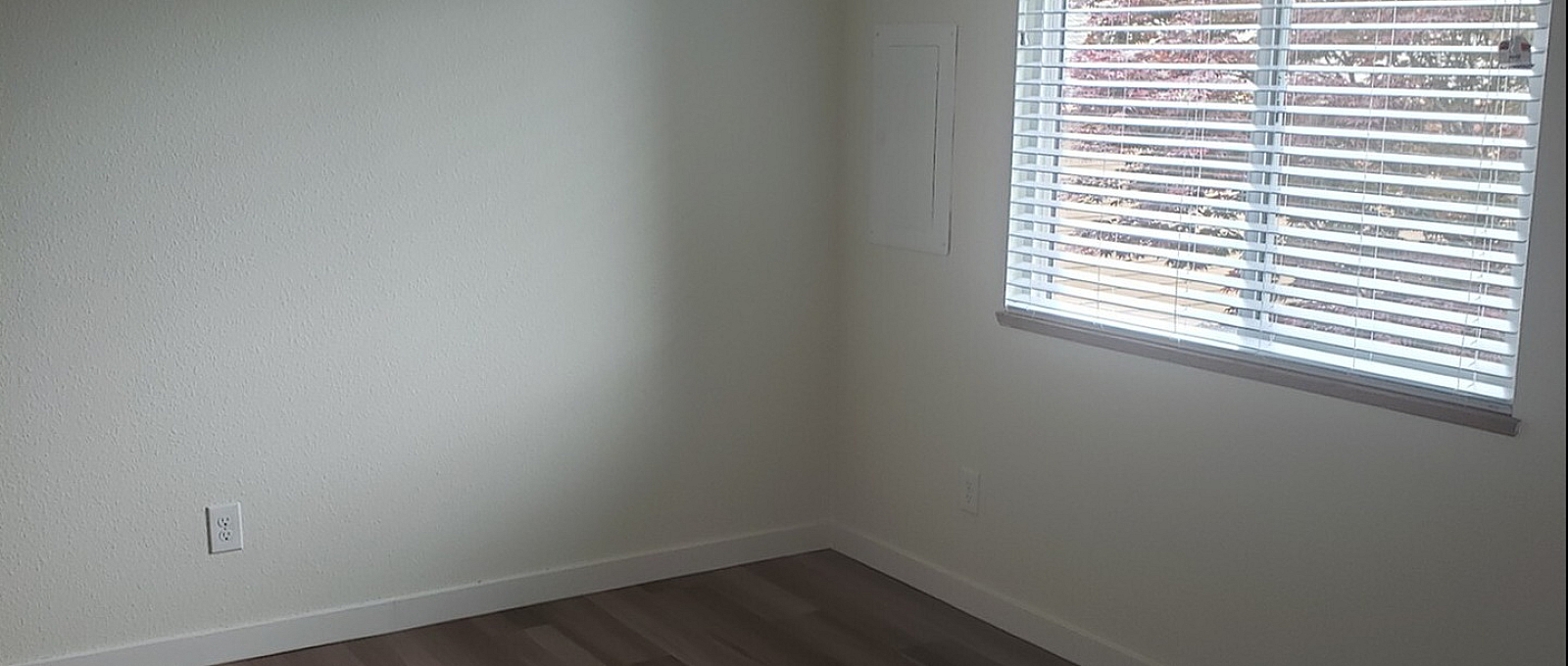 Bright, empty room with sleek wood flooring and modern ceiling fan, flooded with natural light from a large window.