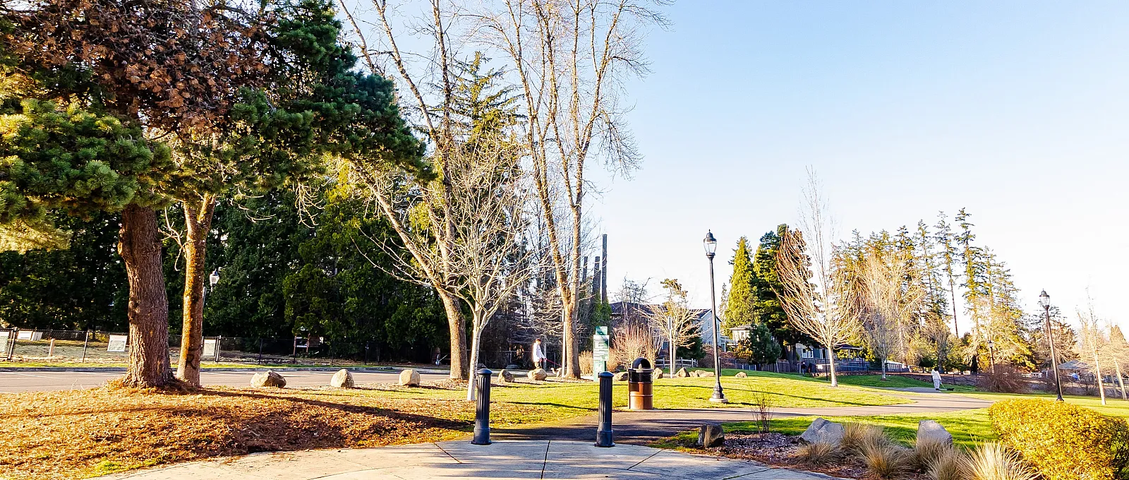 Sunlit park view with lush green trees, open paths, and distant mountains under a clear blue sky, perfect for relaxation.