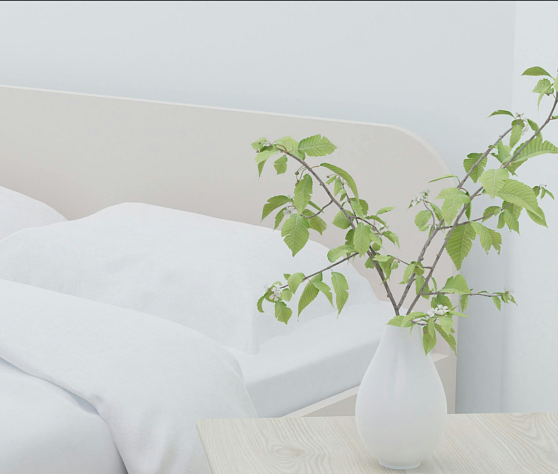 Tranquil bedroom featuring a minimalist bed with crisp white linens and a fresh green plant in a sleek vase on a wooden nightstand.