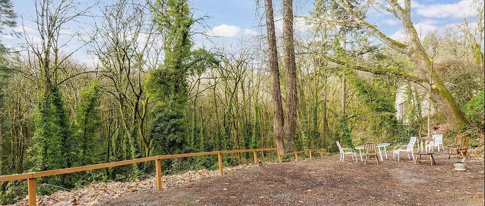 Serene outdoor space with rustic chairs, nestled in a lush forest setting, perfect for relaxation and nature retreats.