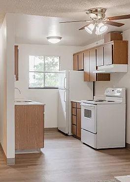 Inviting apartment interior featuring a charming brick fireplace, cozy living area, well-lit open kitchen with modern appliances, and elegant wood flooring.