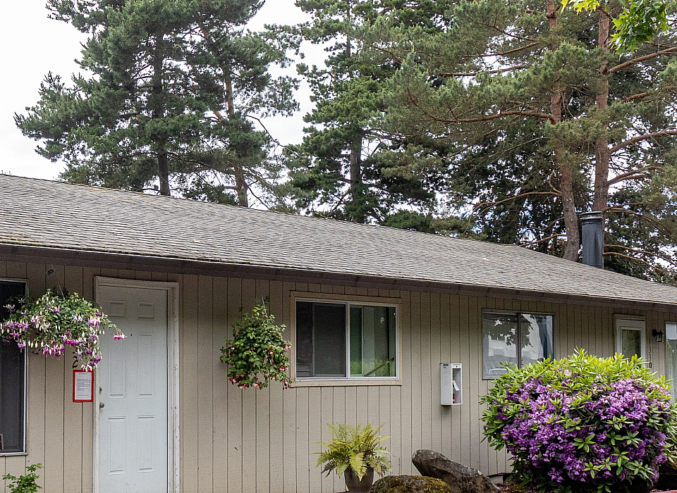 Charming one-story home with lush greenery and vibrant flowers under a canopy of tall trees, offering a serene residential vibe.