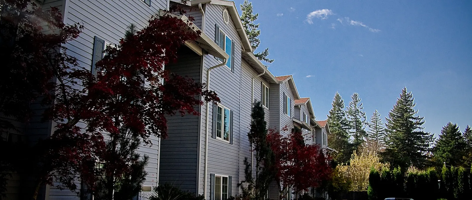 Charming suburban apartment complex with elegant brick accents, surrounded by lush trees under a clear blue sky.