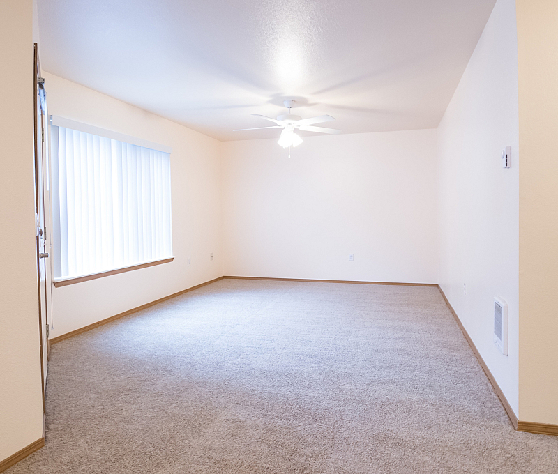 Bright and inviting living area featuring soft carpet, large window with vertical blinds, and ceiling fan lighting.