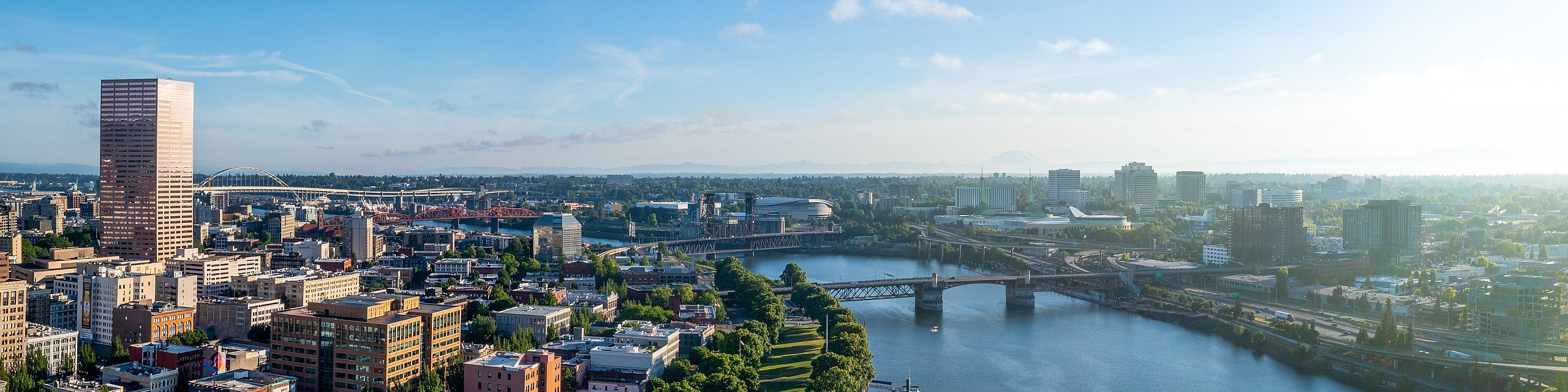 Stunning downtown cityscape with a vibrant river view, iconic skyline, and lush green spaces.