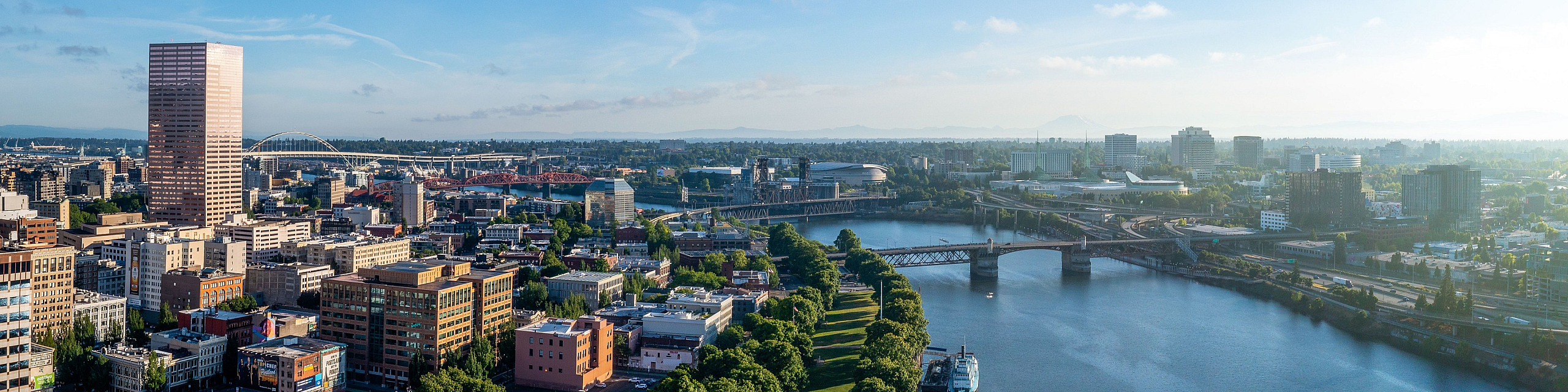 Breathtaking cityscape with a vibrant riverfront and lush greenery, highlighting a picturesque urban skyline under a clear blue sky.