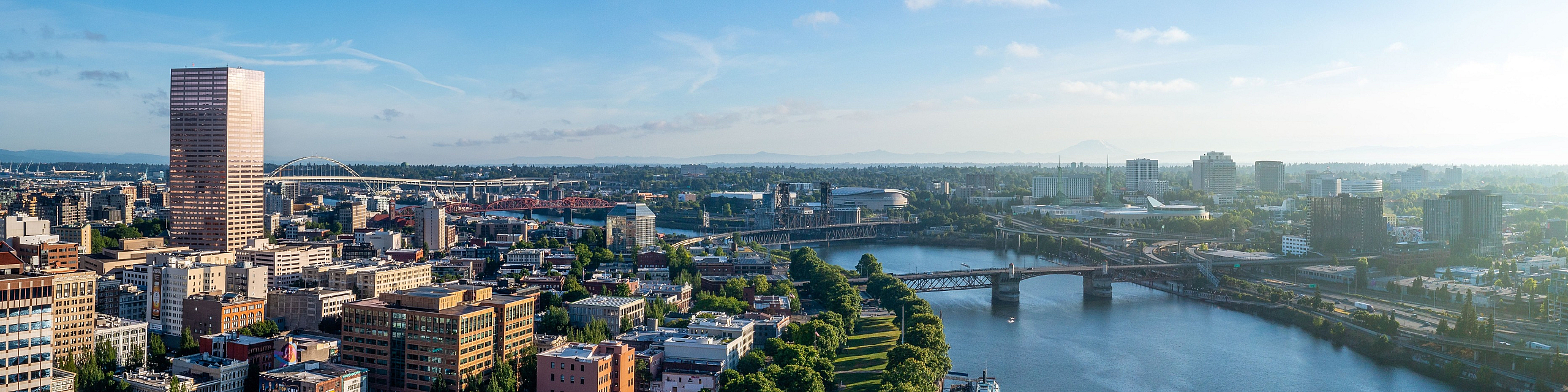 Breathtaking cityscape capturing a vibrant skyline, serene river view, and lush greenery, perfect for urban living.