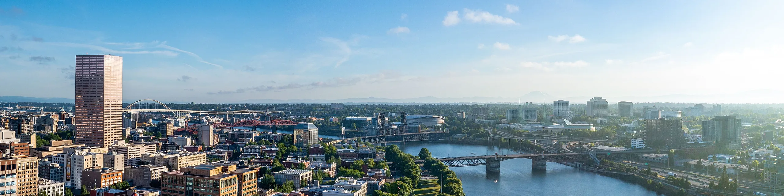 Breathtaking panoramic cityscape with a vibrant downtown, scenic river view, and lush green spaces under a clear blue sky.