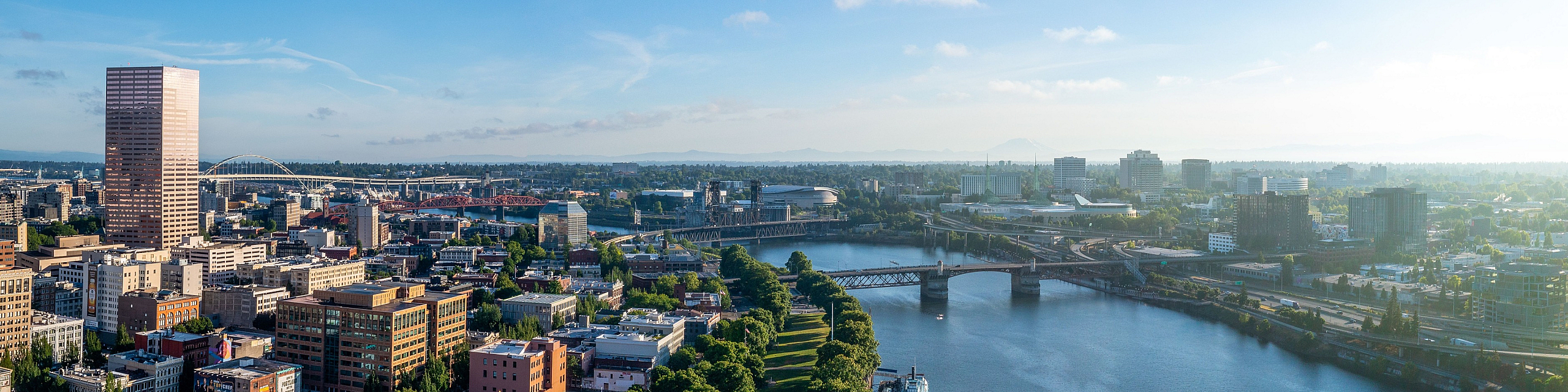 Panoramic view of a vibrant cityscape by the river, showcasing a blend of modern architecture, lush green spaces, and a serene waterfront.