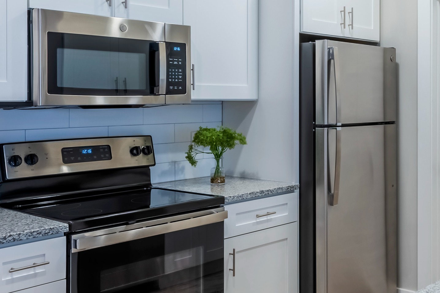 Stainless Appliances