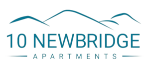 Newbridge logo