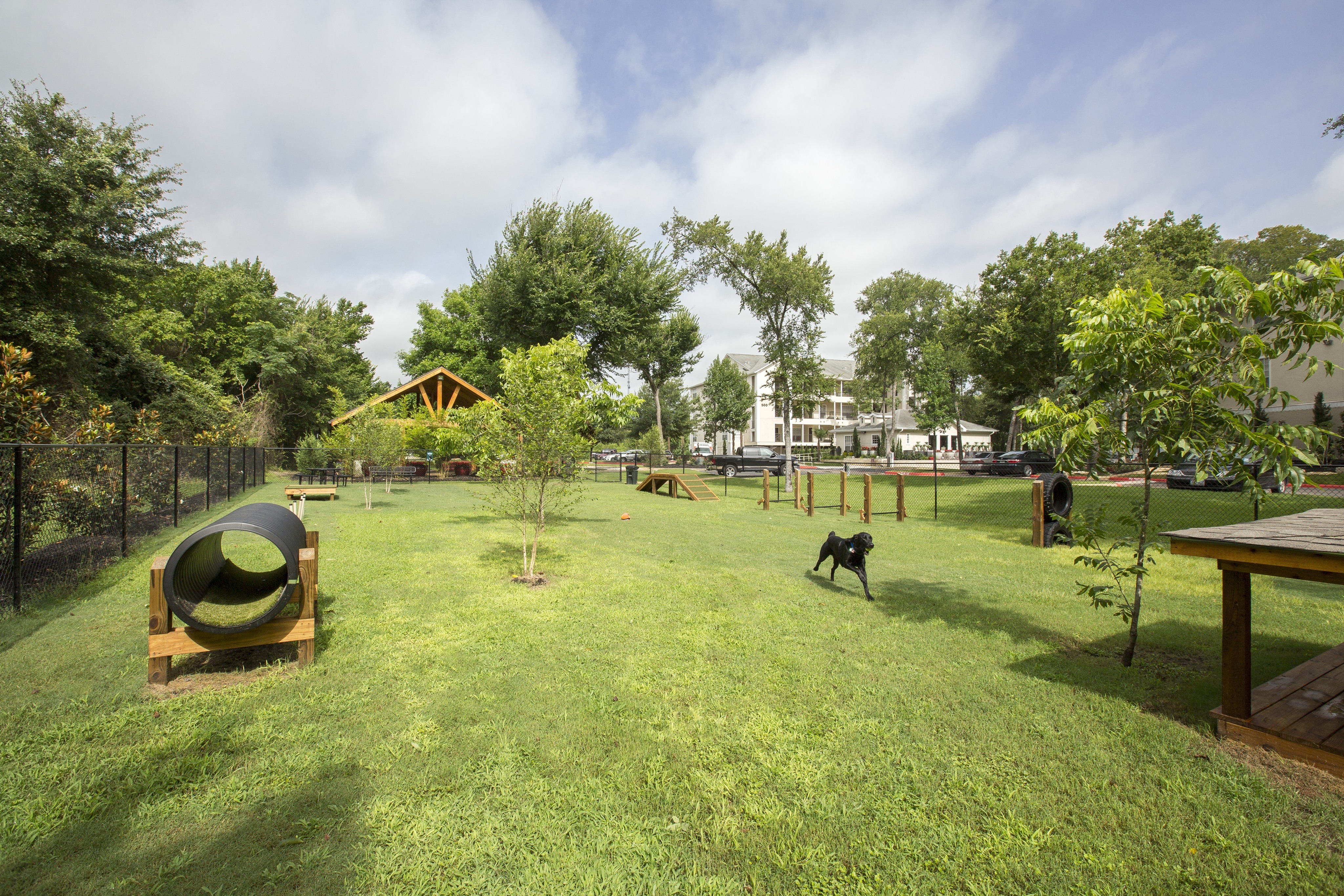 Pet Park