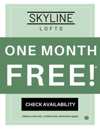 Skyline Lofts Apartments - Phoenix, AZ | RentDeals.com