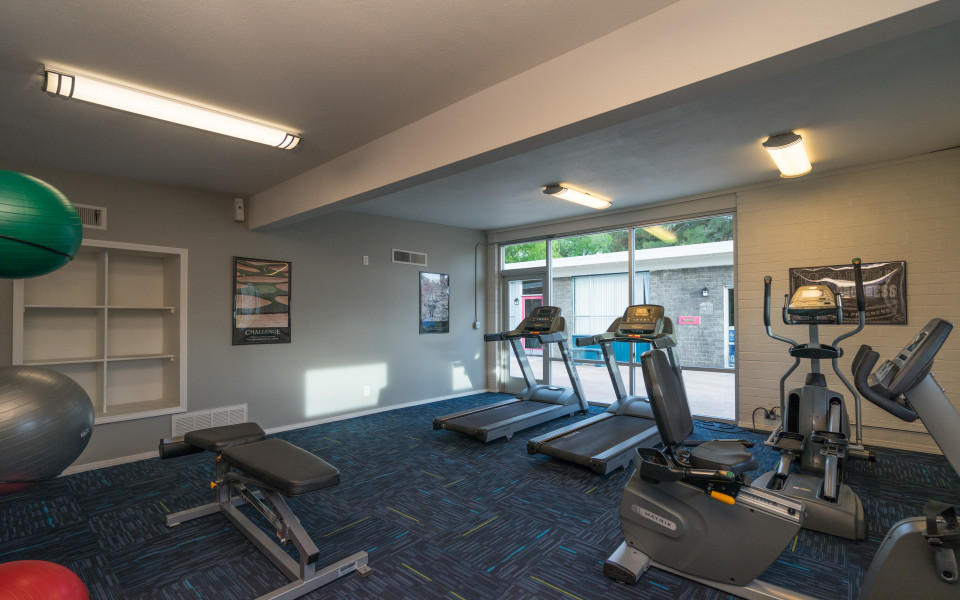 Parkside fitness
