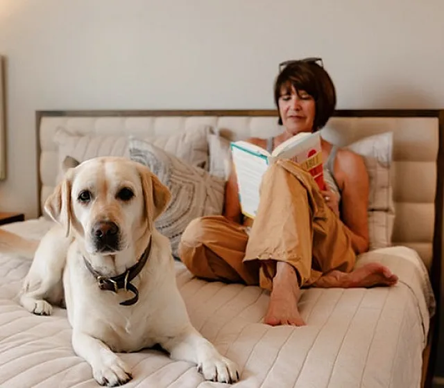 Inviting bedroom with a comfortable bed, a Labrador dog lounging, and a person reading a book.