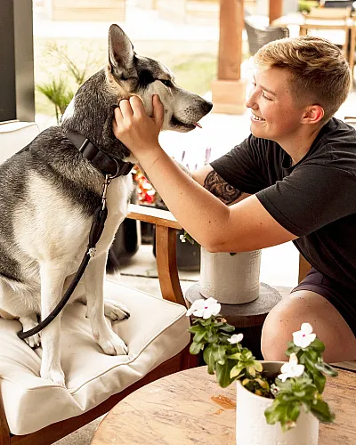 Bright and welcoming patio scene with a joyful person smiling while petting a happy husky on a cozy chair, surrounded by fresh greenery and flowers for a serene ambiance.